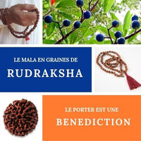 Le Mâla Tibétain RUDRAKSHA, 108 graines de conscience