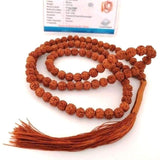 Mala Traditionnel Graines de Rudraksha avec Certificat Authenticité (japa mala) - Réduction 30% 5